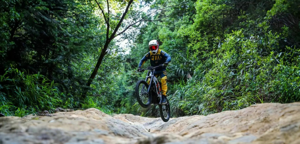 Buy SurRon Electric Bikes